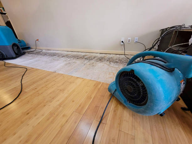 Professional Water Extraction technician working in Narragansett, RI